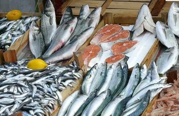 進(jìn)口食品報關(guān)報檢_副本.jpg